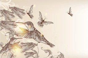 Obraz - Kolibríky (90x60 cm)