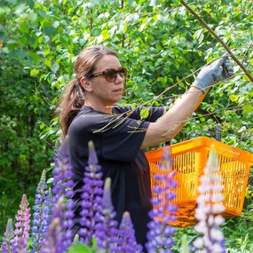 Prírodná vôňa do sauny 3ks / dárková sada