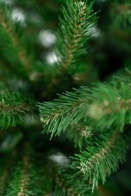 Limpol Smrek Natura 2,40 m