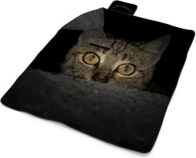 Sablio Plážová deka Mačka: 200x140 cm