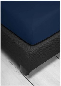 Bierbaum jersey plachta tm. modra - 140-160 x 200 cm