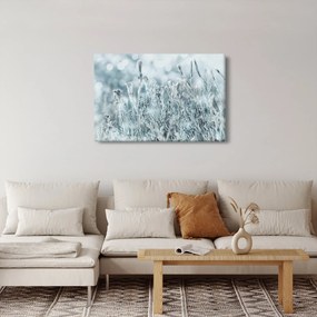 Obraz - Kúzlo zimy (90x60 cm)