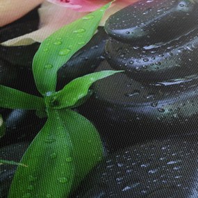 Obraz - Kamene a orchidey (90x60 cm)