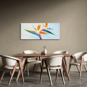 Obraz kvetu Strelícia (120x50 cm)