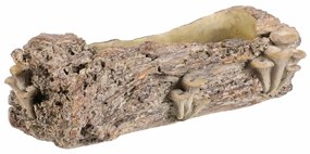 Betonový obal - truhlík, drevo s hubami, 49 x 21 x15 cm