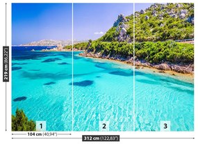 Fototapeta Vliesová Sardínia mora 208x146 cm