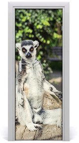 Samolepiace fototapety na dvere lemur 95x205 cm