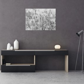 Obraz - Chladná zima (70x50 cm)