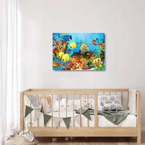 Sklenený obraz - Farebný koralový útes (70x50 cm)