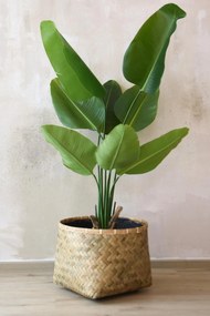 Umelý banánovník LORO, plast, výška 140 cm, zelená