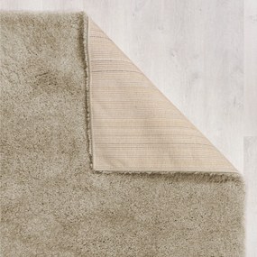 Flair Rugs, Kusový koberec Shaggy Teddy Natural, 120x170, béžová, obývacia izba