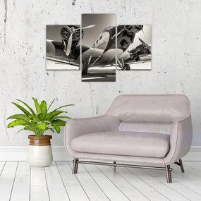 Obraz - Historické lietadlo (90x60 cm)