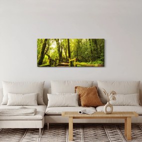 Obraz machové džungle (120x50 cm)