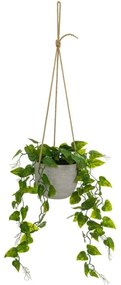 Umelá rastlina (výška 46 cm) – Casa Selección
