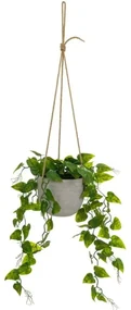 Umelá rastlina (výška 46 cm) – Casa Selección