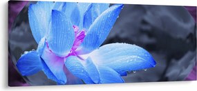 Obraz kvetu v detaile (120x50 cm)