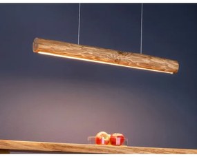 Spot-Light 69480104 - LED Stmievateľný luster na lanku LUCAS LED/25,5W/230V