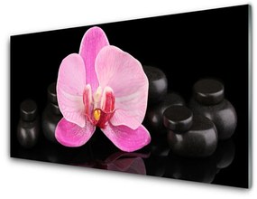 Skleneny obraz Kvet kamene rastlina 125x50 cm