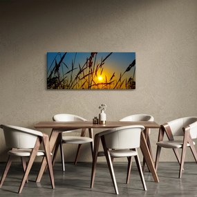 Obraz - Západ slnka v lúke (120x50 cm)
