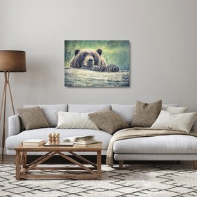 Sklenený obraz medveďa (70x50 cm)