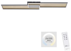 Paul Neuhaus Paul Neuhaus 8371-18 - LED Stmievateľné stropné svietidlo AMARA LED/40W/230V + DO W1477
