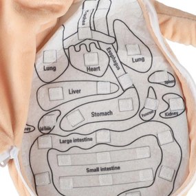 KIK Montessori anatomická bábika dievča – model ľudského tela s orgánmi
