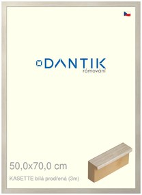 DANTIK rám na obraz 50x70 | KASSETTE bílá prodřená (Plexi Čiré)