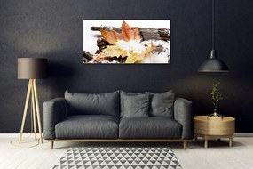 Skleneny obraz List les jeseň príroda 120x60 cm