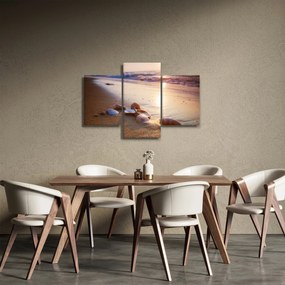 Obraz - Mušle (90x60 cm)