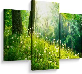 Obraz - Magická lúka plná púpav (90x60 cm)