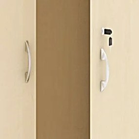 Šatníková skriňa s výsuvom ARRISTO LUX, 800 x 400 x 1836 mm, breza