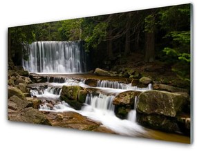 Obraz plexi Vodopád les príroda 125x50 cm
