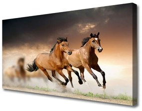 Obraz na plátne Kone zvieratá 140x70 cm