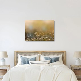 Sklenený obraz - Olejomaľba sedmokrások (70x50 cm)