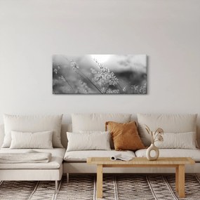 Obraz - Jesenná lúka (120x50 cm)