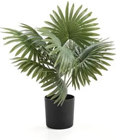 Umelá rastlina EVERGREEN, palma, výška 480 mm, 1 ks