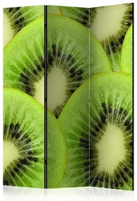 Artgeist Paraván - Kiwi slices [Room Dividers]