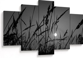 Obraz - Lúka so západom slnka (150x105 cm)