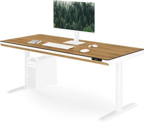 Elektrický písací stôl sit-stand so zásuvkou a bezdrôtovou nabíjačkou Qi biely/zlatý dub, 1600 mm: ELLIS