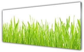 Obraz plexi Tráva príroda rastlina 125x50 cm