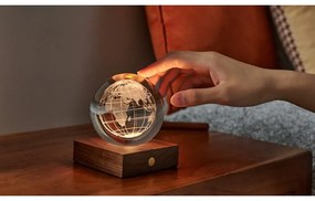 Tmavohnedá svetelná dekorácia na USB Amber – Gingko