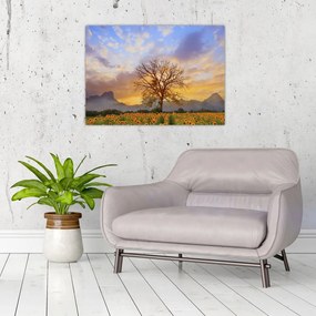 Sklenený obraz - Krajina so slnečnicami (70x50 cm)