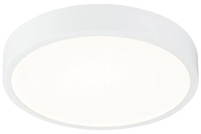 GLOBO LED stropné prisadené svietidlo ARCHIMEDES, stmievateľné, denná biela, 17cm, okrúhle