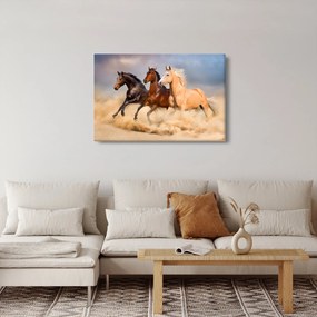 Obraz - Divé kone (90x60 cm)