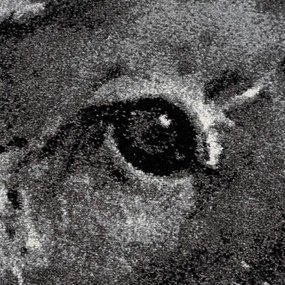 Koberec Savanna 9362 sivý