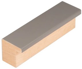 DANTIK rám na obraz 20x30 | PASTELKA šedá rovná (Sklo Čiré)