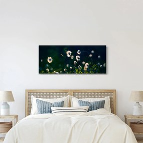 Obraz - Tráva (120x50 cm)