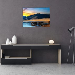 Obraz - Napájadlo (70x50 cm)