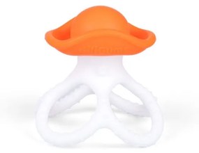 Hryzátko chobotnička, oranžová