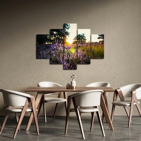 Obraz poľa levanduľou (150x105 cm)